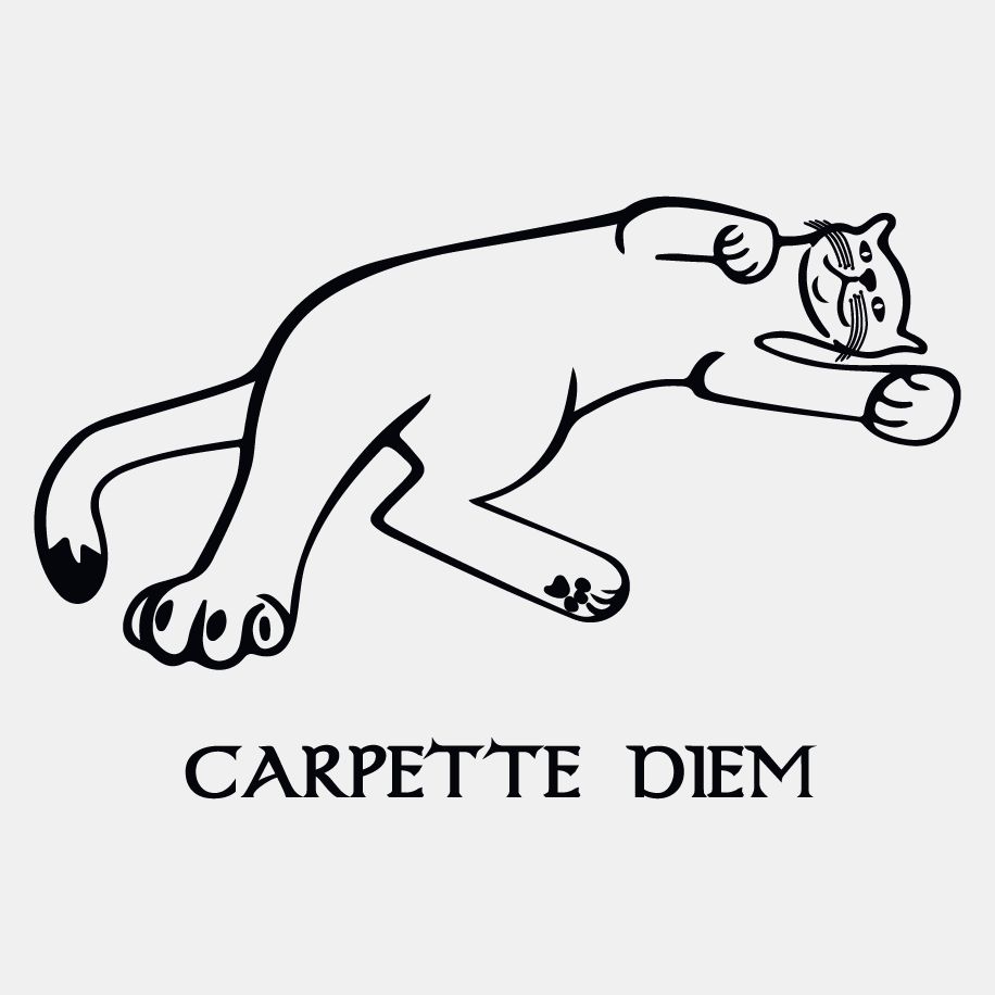 T-shirt homme « Carpette diem », Tissu blanc
