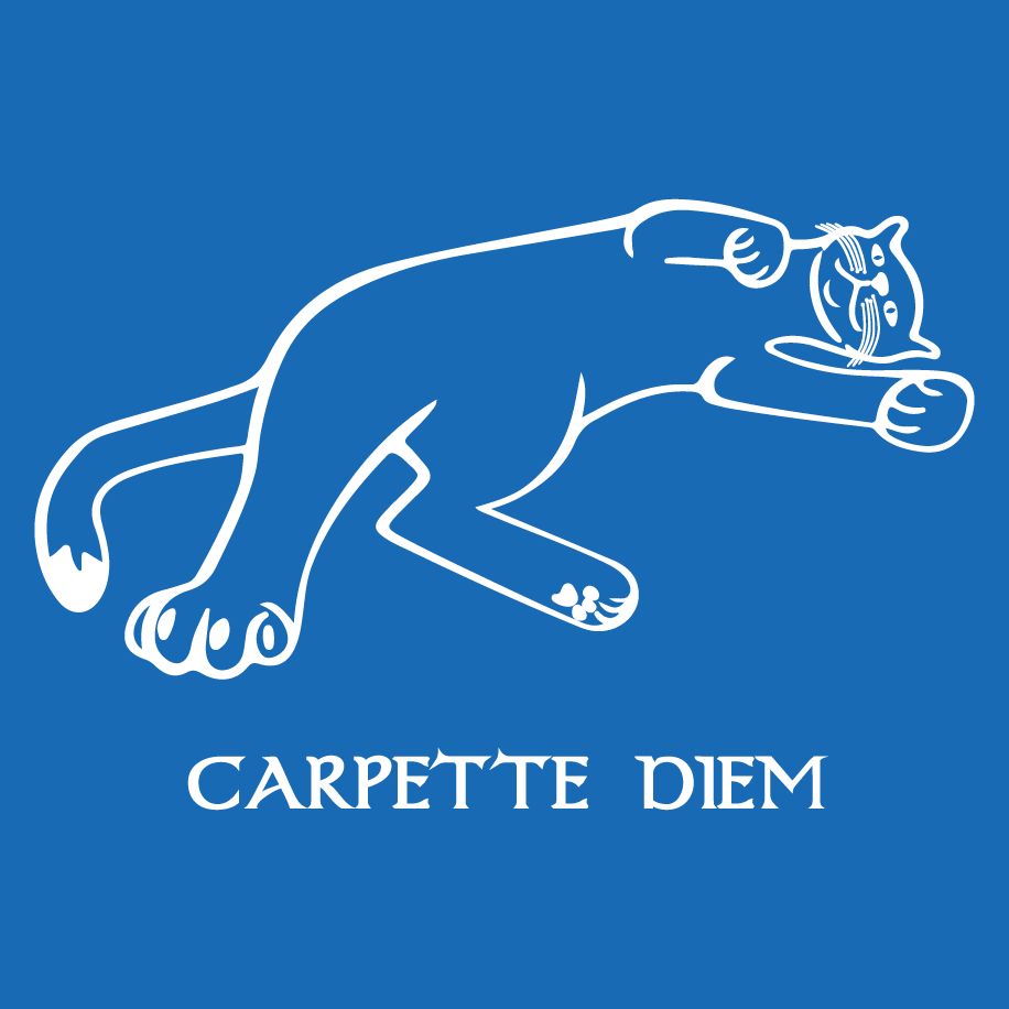 T-shirt homme « Carpette diem », Tissu bleu