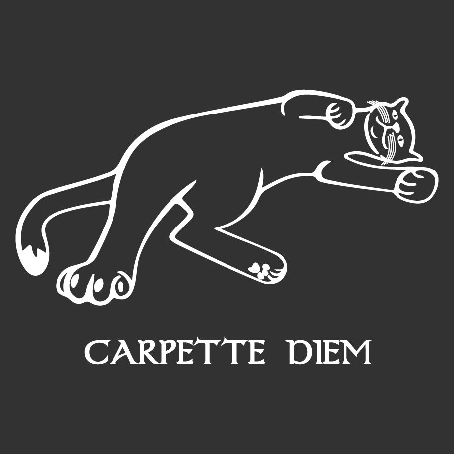 T-shirt homme « Carpette diem », Tissu gris