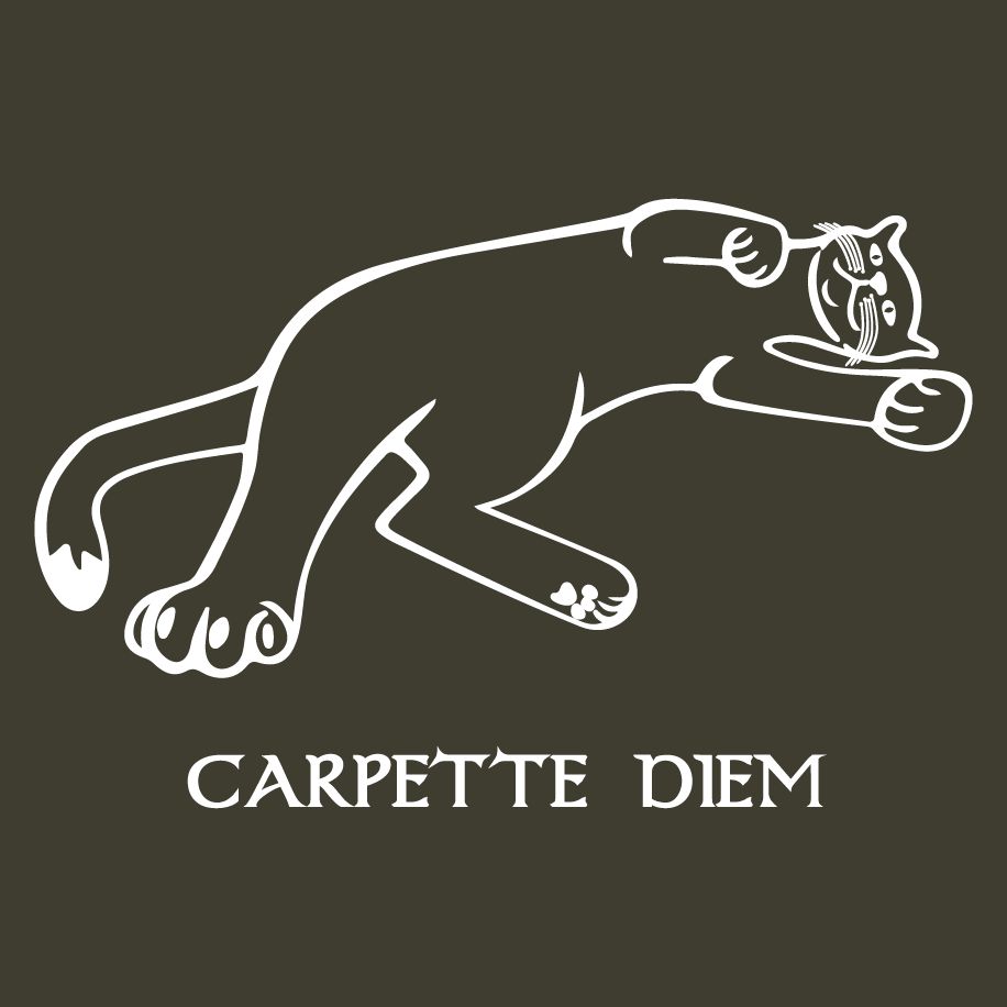 T-shirt homme « Carpette diem », Tissu kaki