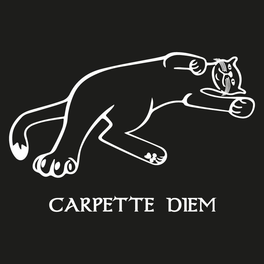 T-shirt homme « Carpette diem », Tissu noir